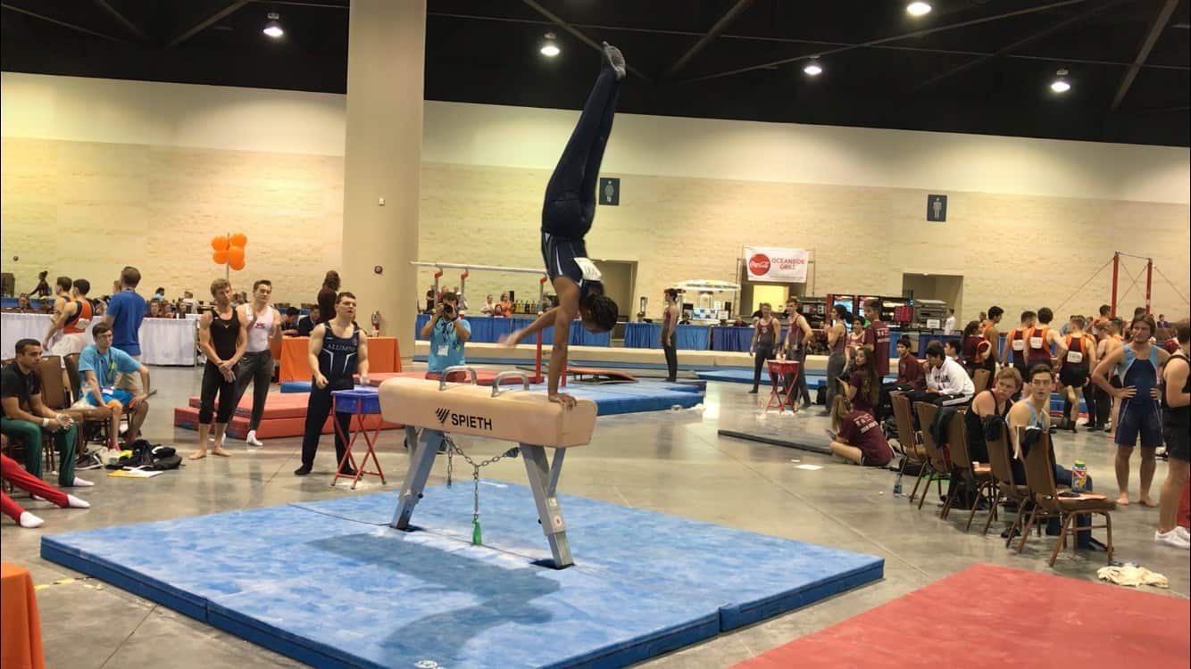 Pommel Horse Gymnastics Tips for Adult Gymnasts